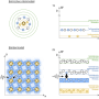 bohrschesatommodell.png